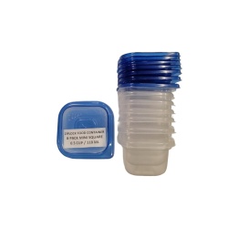 Container 8 Pcs Mini Ziplock