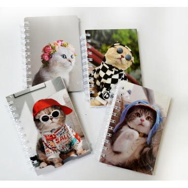 Fat Little Book 300pgs 4x6