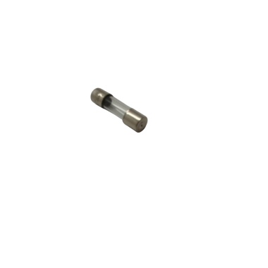 10 Amp European Fuse