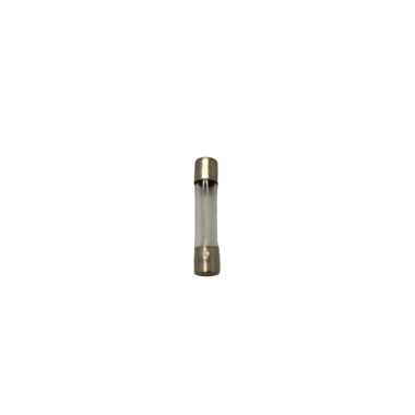 1 Amp Fuse