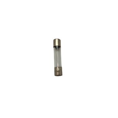 20 Amp Fuse