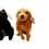 Rescue Dogs 8 Plush Assorted Wild Republic (EACH SOLD INDIVIDUALLY)