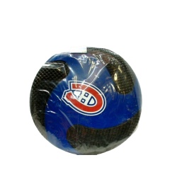 Nhl Foam Flyer Montreal Canadiens Rico Industries
