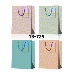 Gift Bags Large Assorted