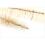 MINI BOTTLE BRUSHES 3-PC T.O.C. (NET) Home Essentials