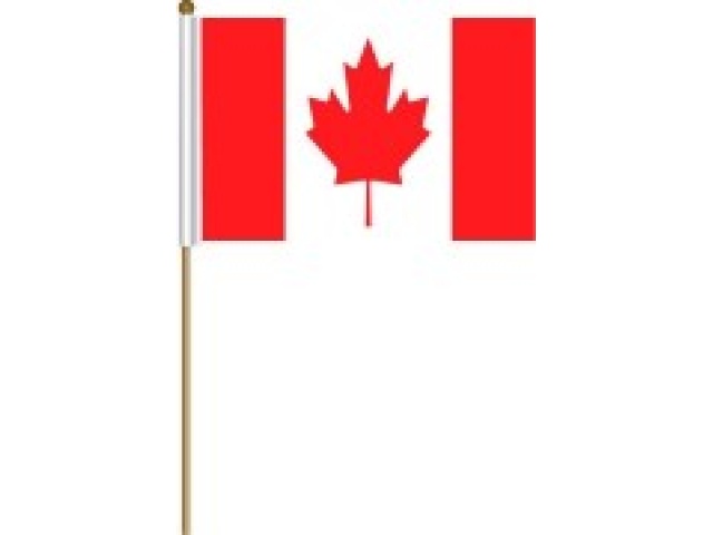 Flag Canadian On Stick 12 X18\