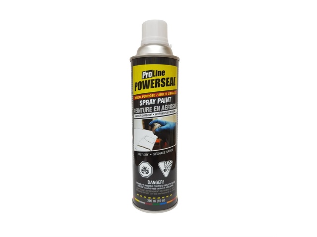 Paint Spray Semi-Gloss Black 296ml (10oz)