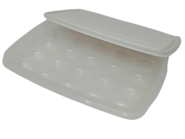 Egg Container w/Lid Plastic Holds 20 Eggs