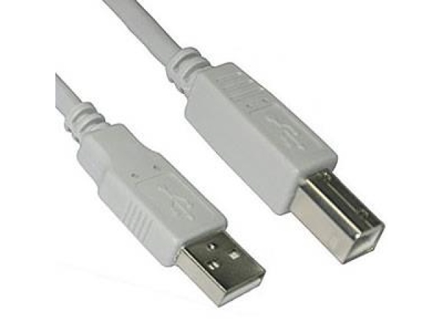 Cable - AM - BM 10 Foot USB 2.0