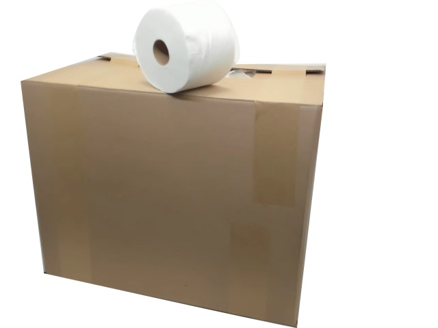 Toilet Paper 2 Ply 48 Giant Rolls 244 Sheets/Roll