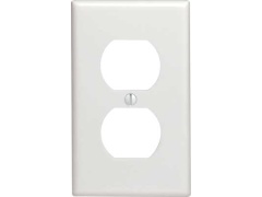 Wallplate receptacle 1 gang ivory