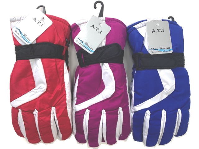 Ski Gloves Ladies Asst.