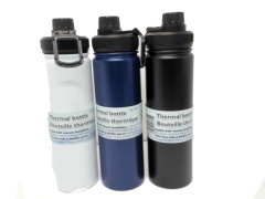 Thermal Bottle 20oz. Ass't Colours