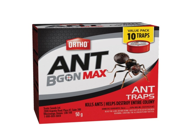 Ant B Gon Max Ant Traps 5g 10 / Pkg